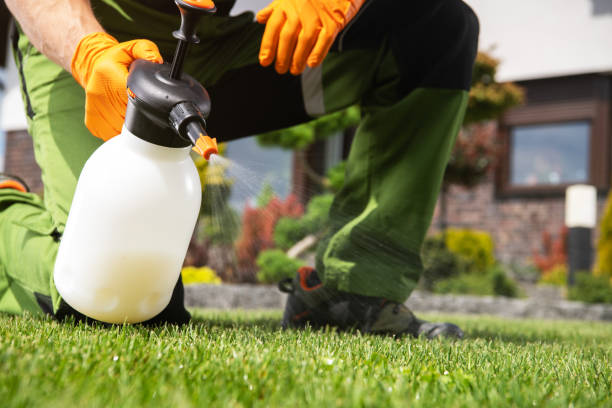 Best Exterminator Services  in Laverne, OK