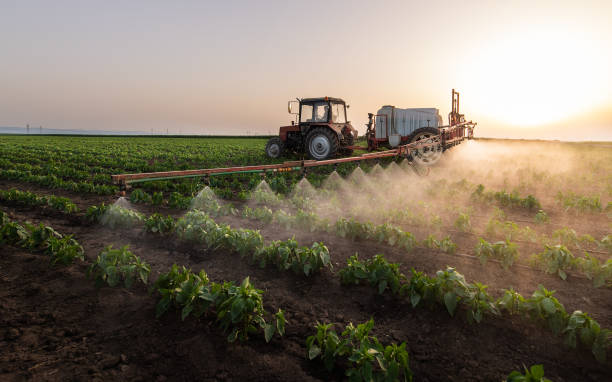 Best Mosquito Control Services  in Laverne, OK