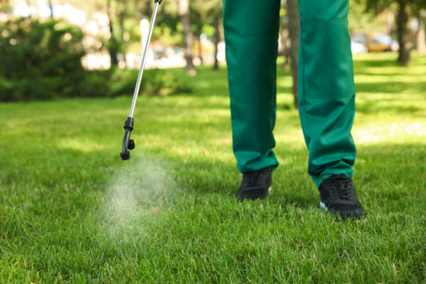 Best Ant Control Services  in Laverne, OK