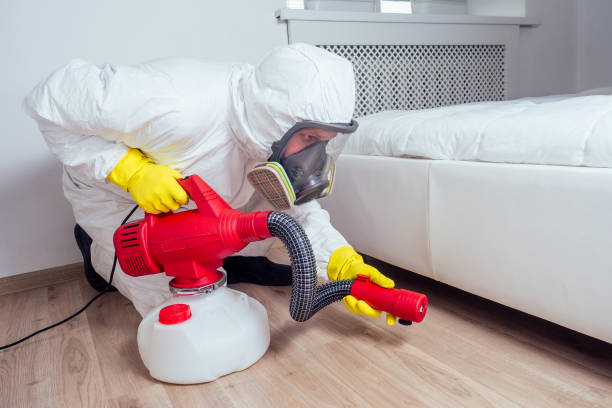 Reliable Laverne, OK Pest Control Solutions