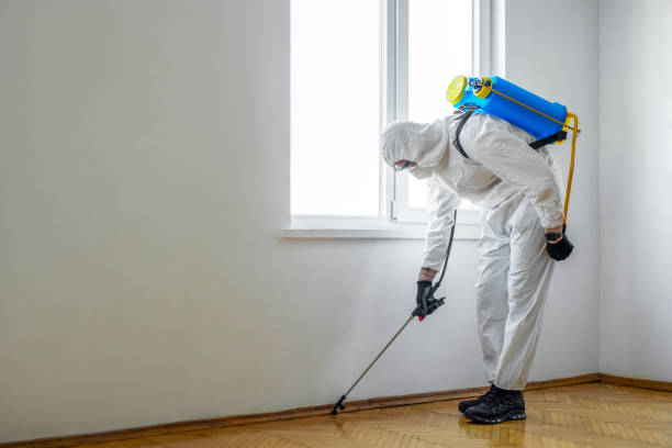 Best Pest Removal Services  in Laverne, OK
