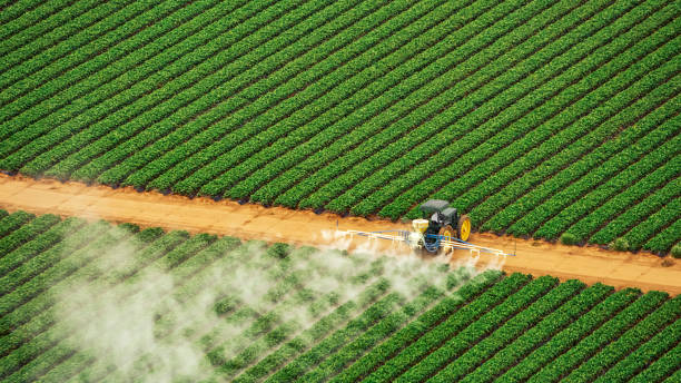 Best Mosquito Control Services  in Laverne, OK