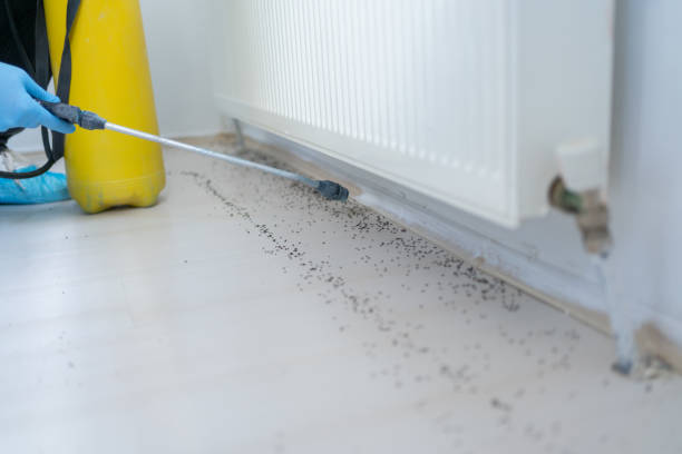 Best Best Pest Control Companies  in Laverne, OK