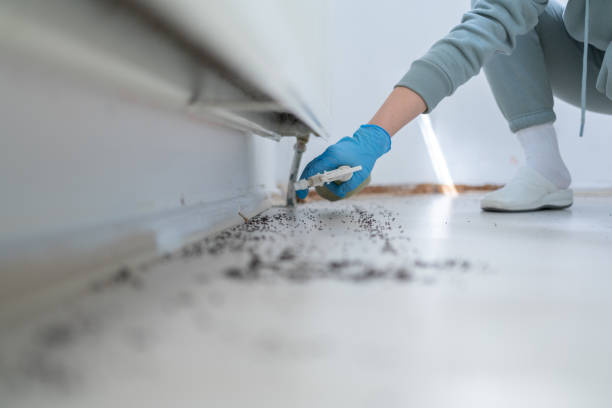 Best Emergency Pest Control  in Laverne, OK