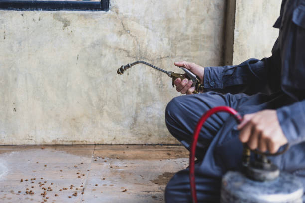 Best Local Pest Control Services  in Laverne, OK
